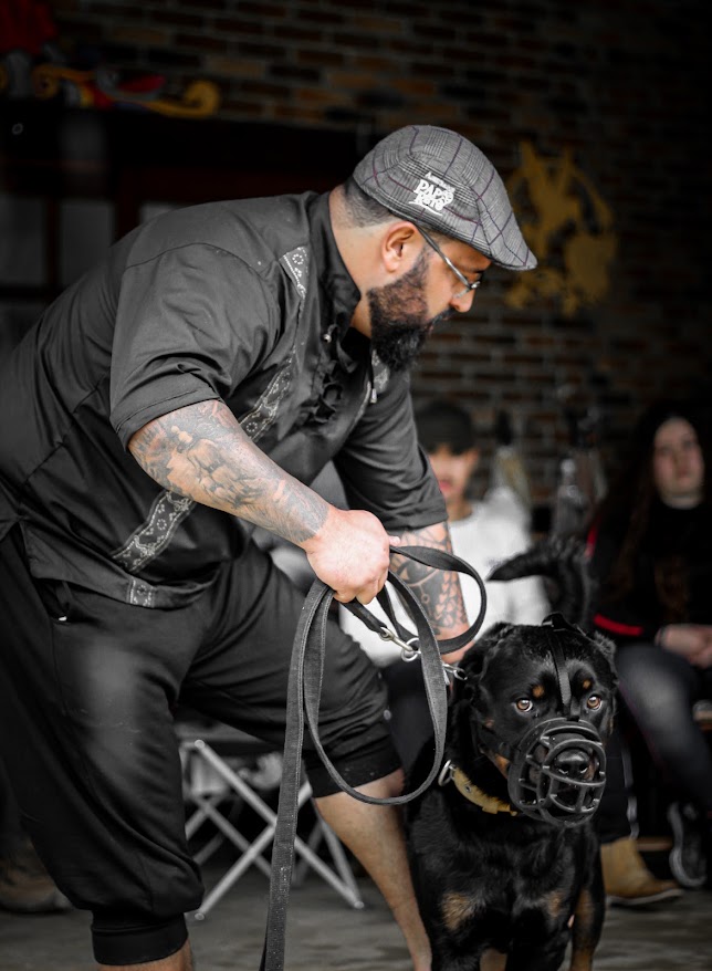 David Alejandro Novoa, criador do Método MACAN, conduzindo um Rottweiler em treinamento